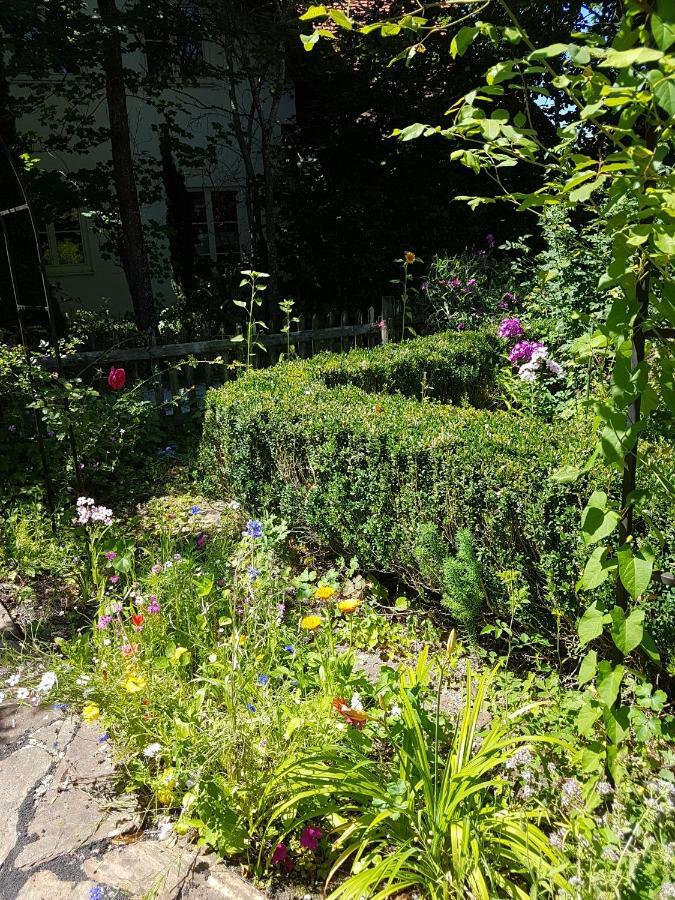 Martina'S Place Ротенбух Екстериор снимка